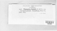 Image Associated With the Occurence